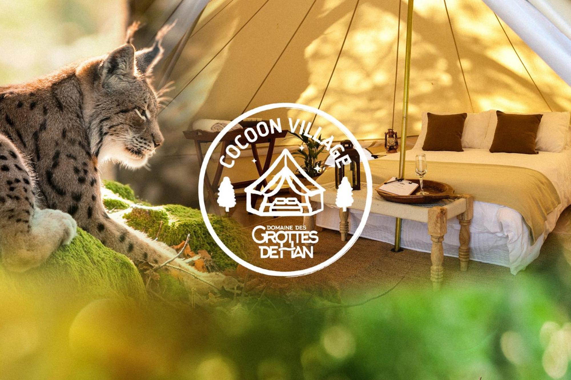 Cocoon Village - Glamping - Domaine des Grottes de Han Rochefort Extérieur photo