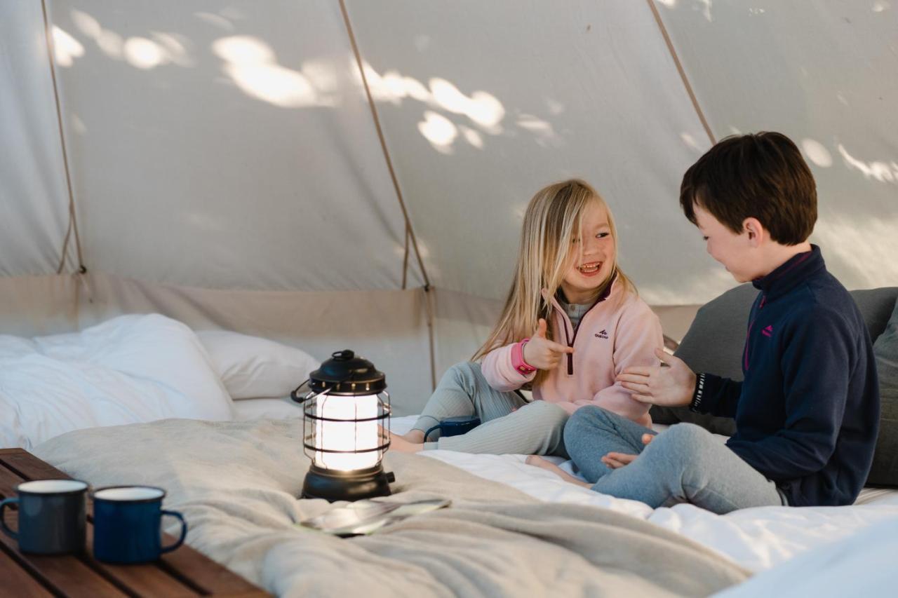 Cocoon Village - Glamping - Domaine des Grottes de Han Rochefort Extérieur photo